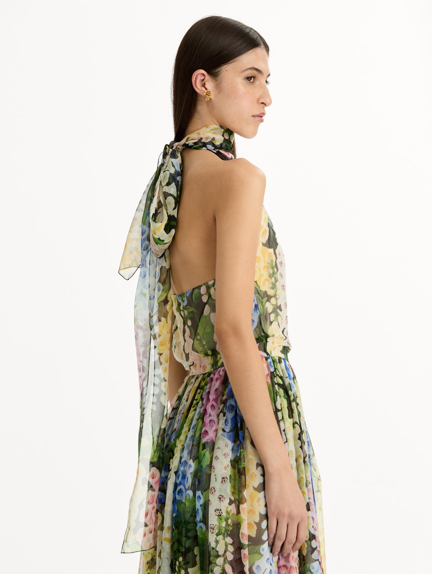 Foxglove Chiffon Gown Black multi / Oscar de la Renta