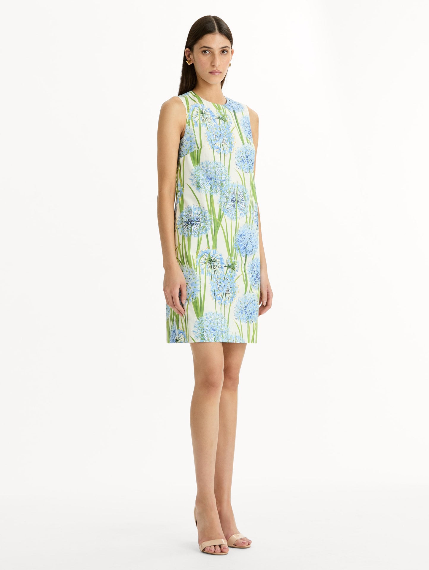 Allium Cotton Poplin Sleeveless Shift Dress Blue/white / Oscar de la Renta