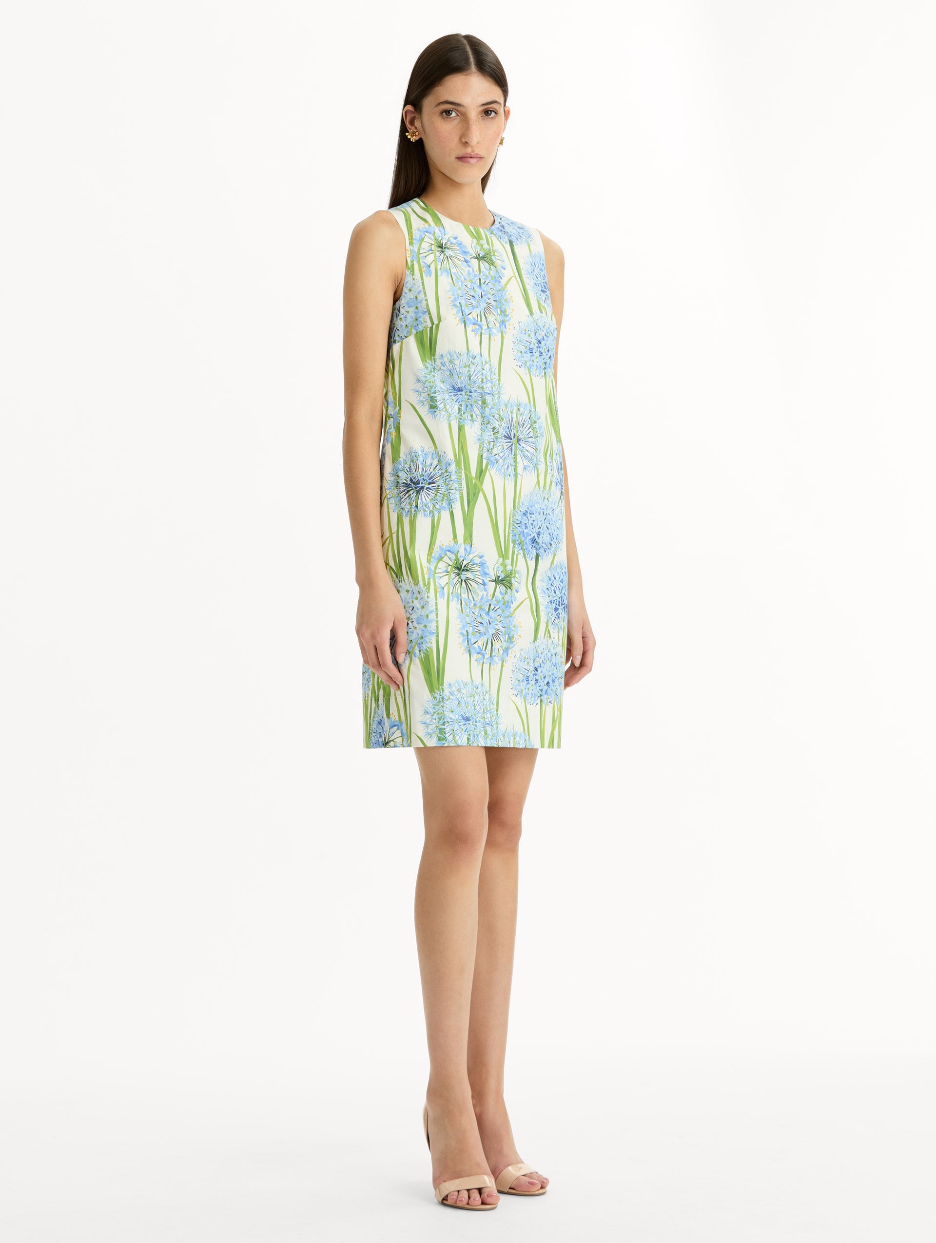 Allium Cotton Poplin Sleeveless Shift Dress Blue/white / Oscar de la Renta