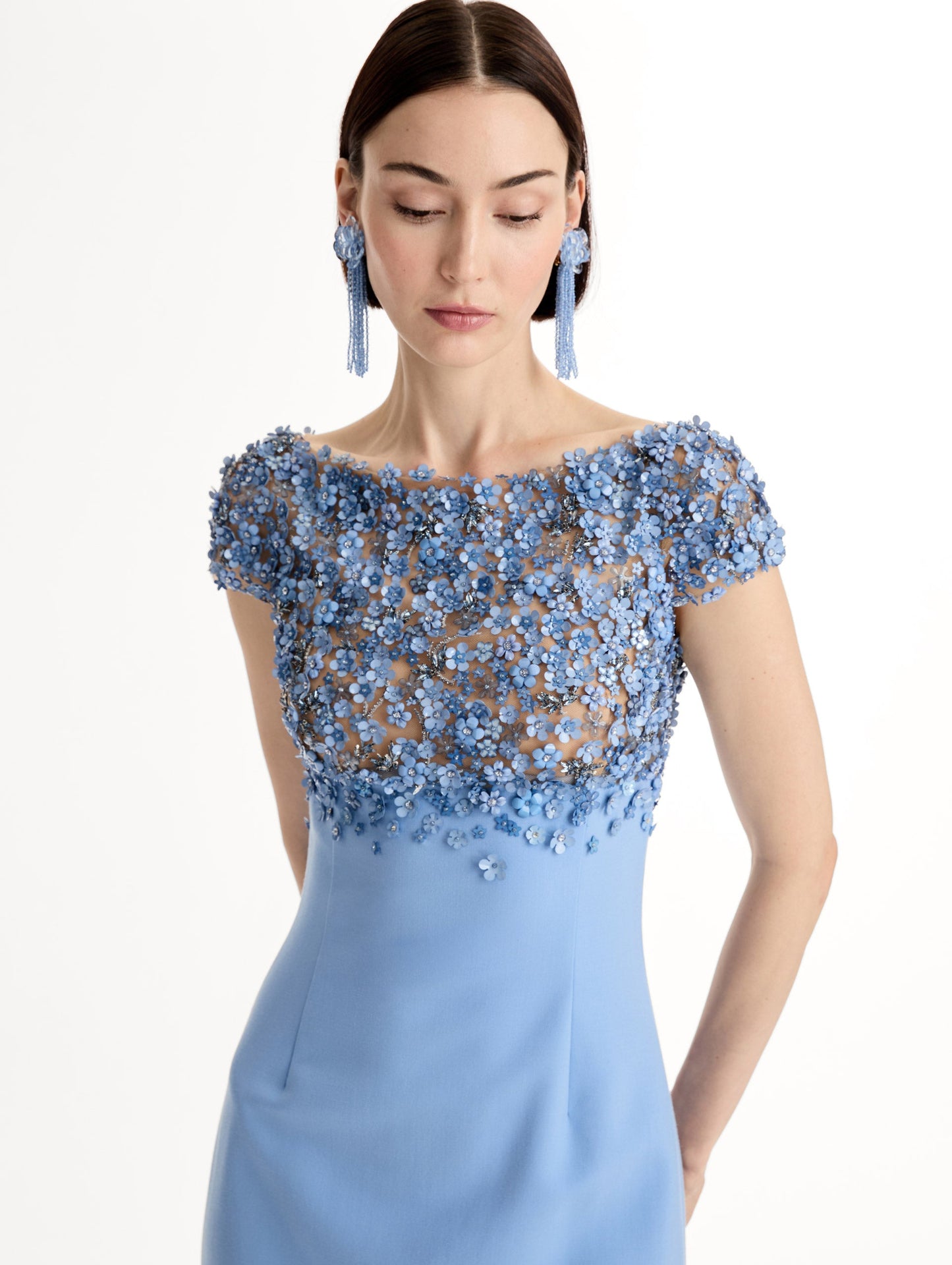 Porcelain Flower Embroidered Cap-Sleeve Gown Hydrangea / Oscar de la Renta