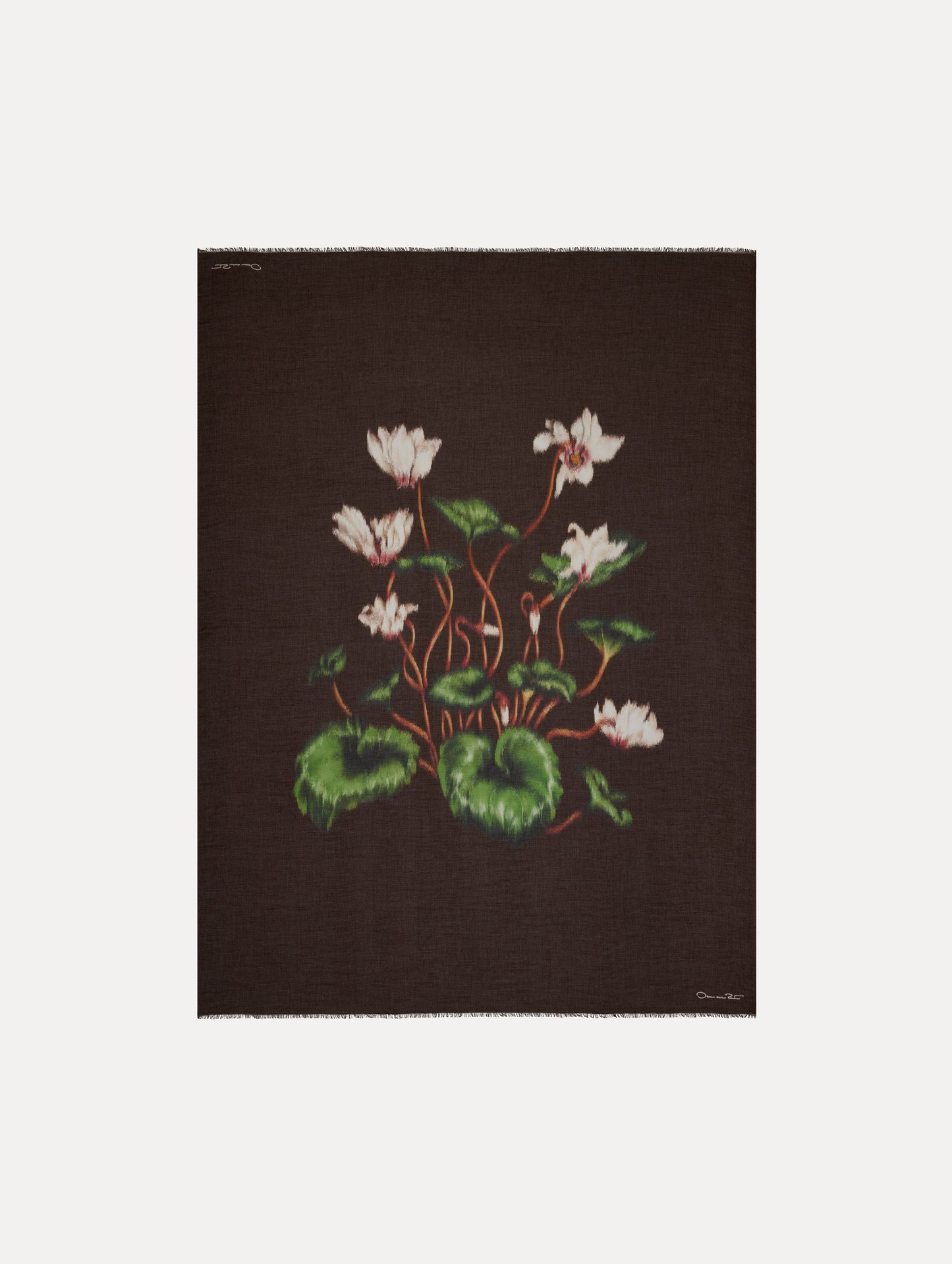 Chiné Cyclamen Modal Cashmere Scarf White/mahogany / Oscar de la Renta