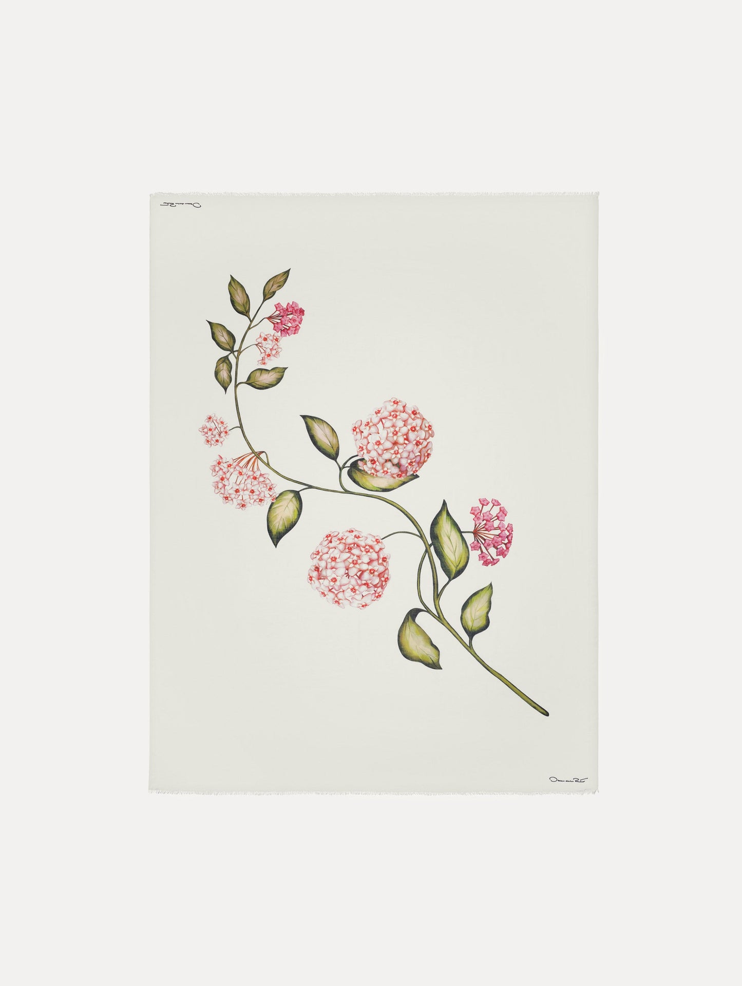 Porcelain Flower Modal Cashmere Scarf Pink/white / Oscar de la Renta