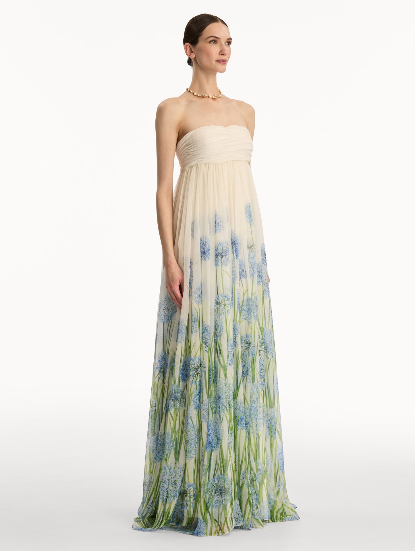 Degradé Allium Chiffon Gown Blue/white / Oscar de la Renta