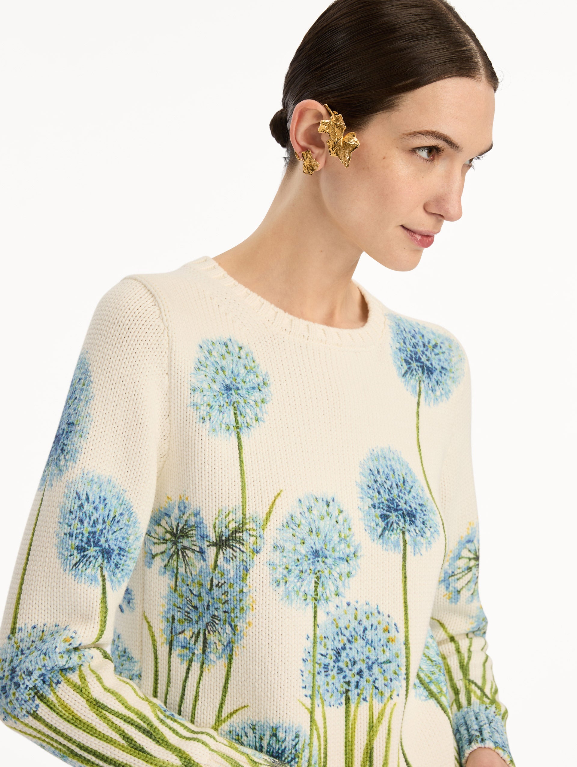 Allium Printed Pullover Blue/white / Oscar de la Renta